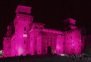 Sabato 8 luglio - Notte Rosa in Castello